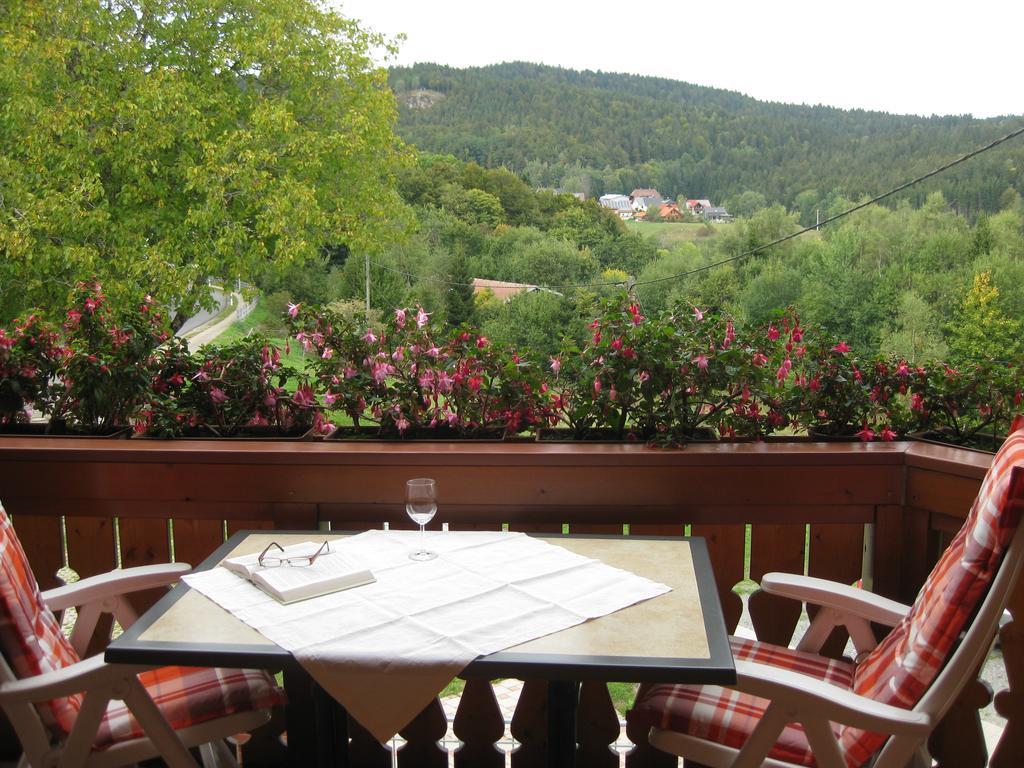 Haus Am Kreuzbuehl Apartment Dachsberg im Schwarzwald Exterior photo
