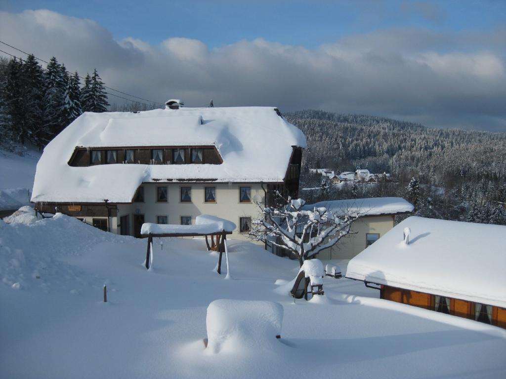 Haus Am Kreuzbuehl Apartment Dachsberg im Schwarzwald Exterior photo