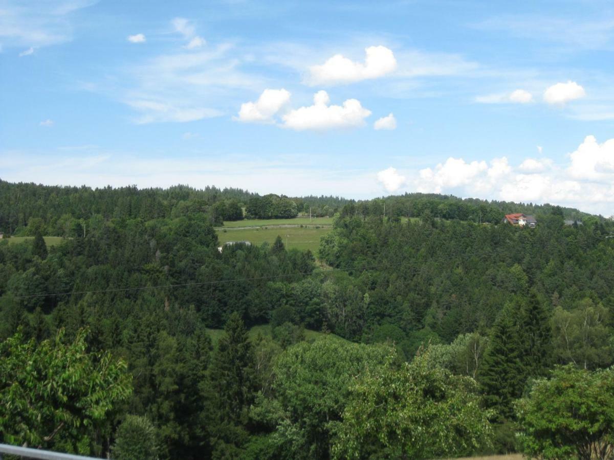 Haus Am Kreuzbuehl Apartment Dachsberg im Schwarzwald Exterior photo